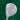 TaylorMade r5 dual (Ladies) - Fairway Wood (Ladies) - ARC Golf