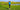 Expert Guide: The 10 Golf Secrets Every Player Needs to Instantly Improve Their Game - ARC Golf