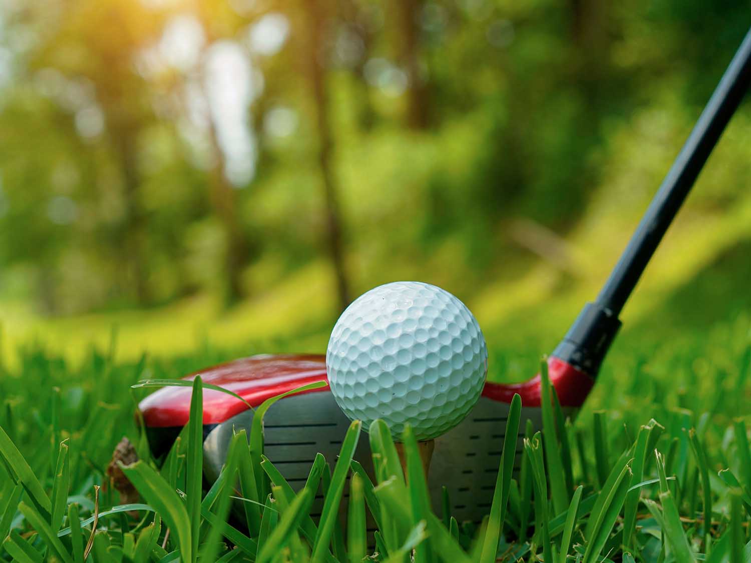 Golf ball and club on grass with blurred green background