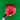 Nike VRS Covert Tour 3W - Fairway Wood (Stiff)