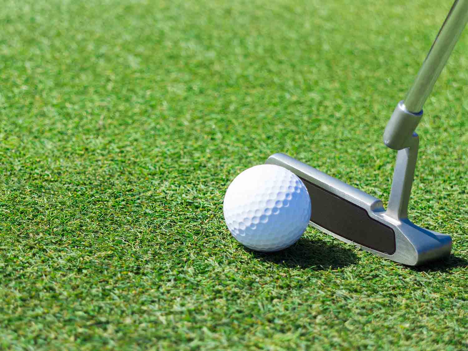 Golf putter and ball on a green golf course
